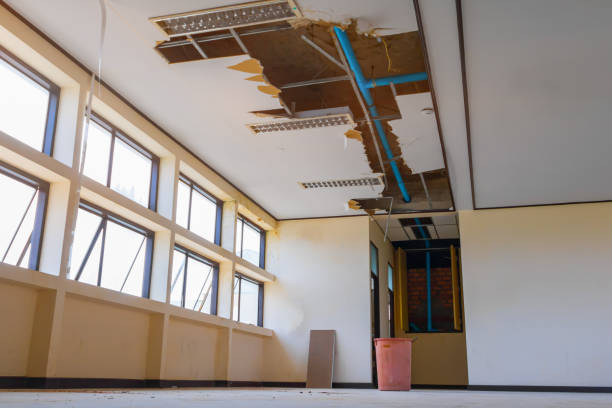 Best Water damage cleanup near me  in Blacksburg, SC