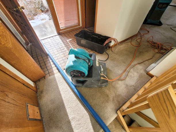 Water damage restoration insurance claims in Blacksburg, SC