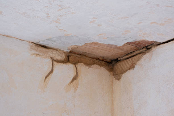 Best Professional water damage repair  in Blacksburg, SC