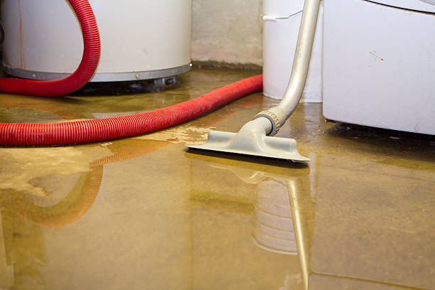 Best Water damage restoration company  in Blacksburg, SC