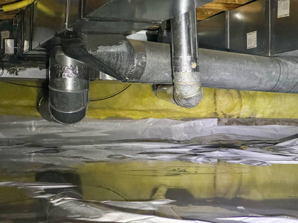 Best Basement water damage restoration  in Blacksburg, SC