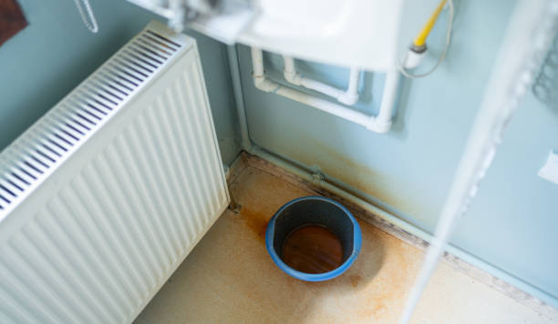 Best 24/7 water damage repair  in Blacksburg, SC