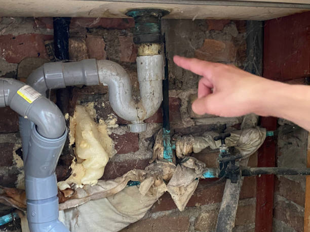 Best Flooded house restoration  in Blacksburg, SC