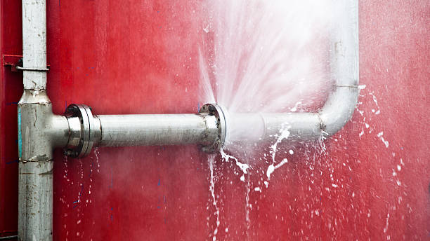 Best Mold removal after water damage  in Blacksburg, SC